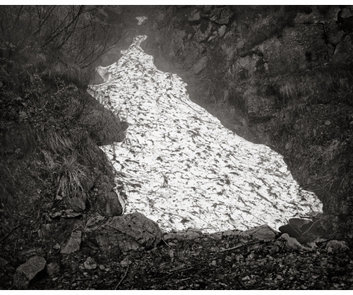 Jean Gaumy: DAprs Nature