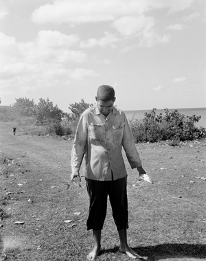 Jenia Fridlyand: Mango Season