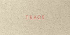 Jenny Holzer: Trace