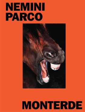 Jess Monterde: Nemini Parco