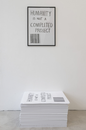 Jimmie Durham: Humanity Is not a Completed Project