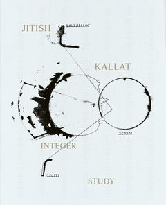 Jitish Kallat: Integer Study