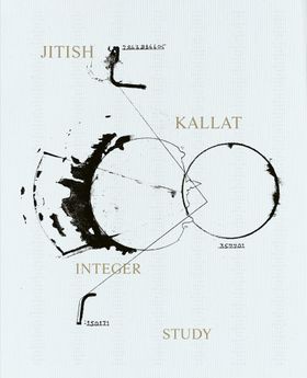 Jitish Kallat: Integer Study