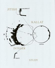 Jitish Kallat: Integer Study