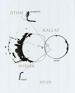 Jitish Kallat: Integer Study