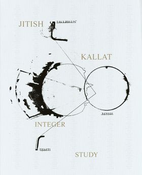 Jitish Kallat: Integer Study