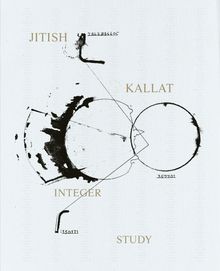 Jitish Kallat: Integer Study