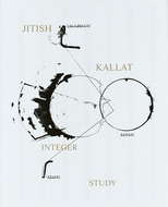 Jitish Kallat: Integer Study