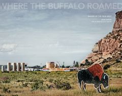 Joan Myers: Where the Buffalo Roamed