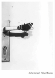 Jochen Lempert: Natural Sources