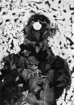 Jochen Lempert: Relacin