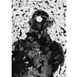 Jochen Lempert Exhibition Catalogs, Books, Bibliography, Biography