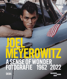 Joel Meyerowitz: A Sense of Wonder