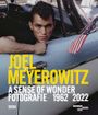 Joel Meyerowitz: A Sense of Wonder