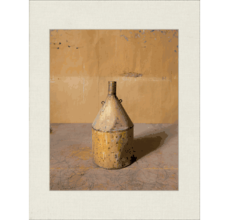 Joel Meyerowitz: Morandi's Objects, Flowers in Vase