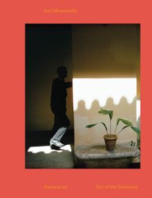 Joel Meyerowitz: Out of the Darkness