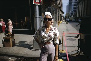 Joel Meyerowitz: Retrospective