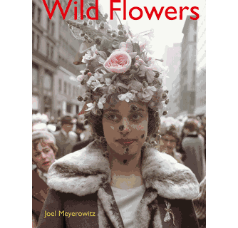 For savvy photography lovers, 'Joel Meyerowitz: Wild Flowers' is a