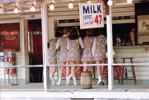 Joel Meyerowitz: Wild Flowers