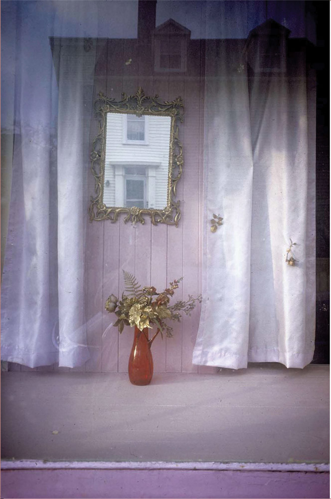 Joel Meyerowitz Wild Flowers, Limited Edition ARTBOOK