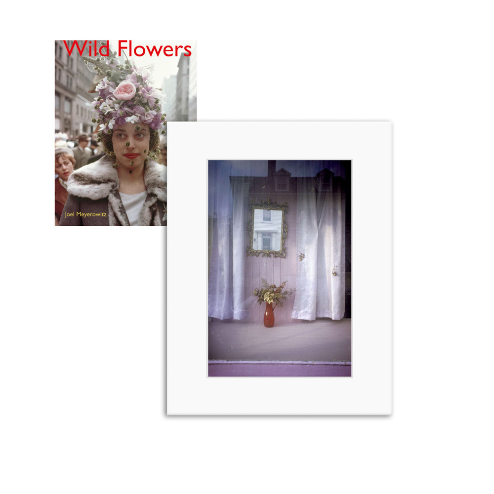 Joel Meyerowitz Wild Flowers, Limited Edition ARTBOOK | D.A.P.