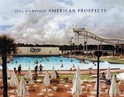 Joel Sternfeld: American Prospects