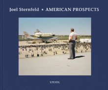 Joel Sternfeld: American Prospects