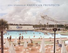 Joel Sternfeld: American Prospects