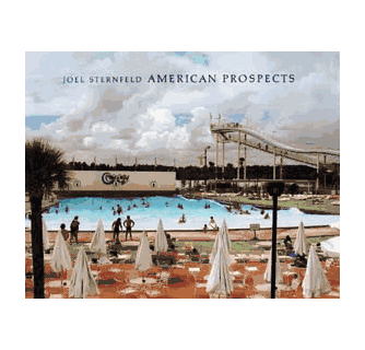 AMERICAN PROSPECTS　Joel Sternfeld 41raPs9dyIL._AC_SY200_QL15_.jpg