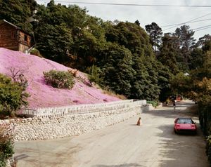 Joel Sternfeld: American Prospects