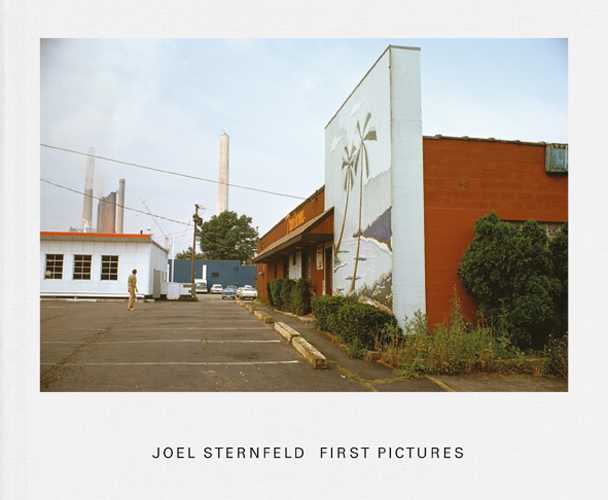 Joel Sternfeld First Pictures ARTBOOK | D.A.P. 2011 Catalog Books