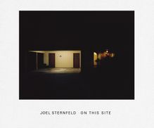 Joel Sternfeld: On This Site