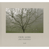 Joel Sternfeld Exhibition Catalogs, Books, Bibliography, Biography