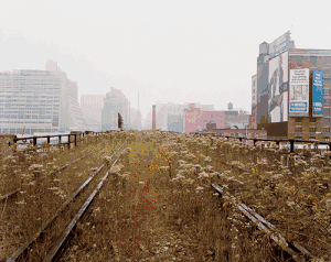 Joel Sternfeld: Walking the High Line