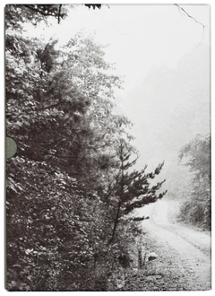 John Cage & William Gedney: Iris Garden