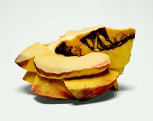 John Chamberlain: Choices