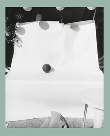 John Gossage: An Abridged Dictionary of Sculpture