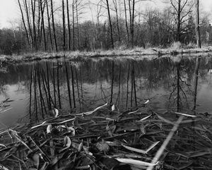 John Gossage: The Pond