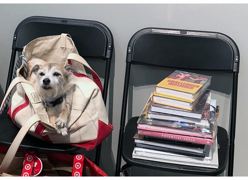 Join Artbook | D.A.P. at the 2026 ICP Photobook Fest