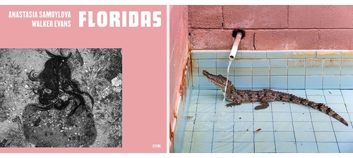 Join Artbook | D.A.P. at the ICP Photobook Fest