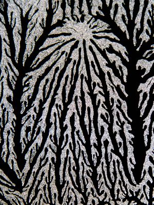 Jon McCormack: Patterns