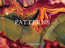Jon McCormack: Patterns