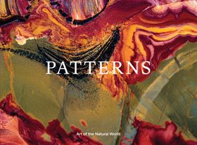 Jon McCormack: Patterns