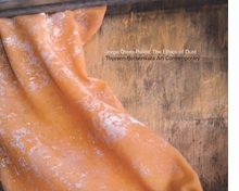 Jorge Otero-Pailos: The Ethics of Dust