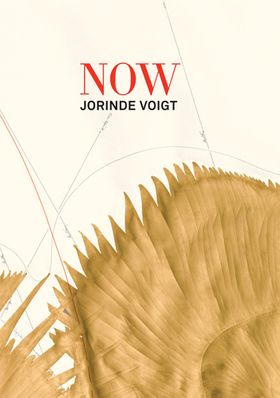 Jorinde Voigt