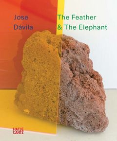 Jose Dvila: The Feather and the Elephant