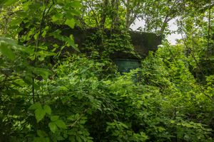 Juan Manuel Echavarr�a: Silencios