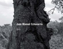 Juan Manuel Echavarra: Works