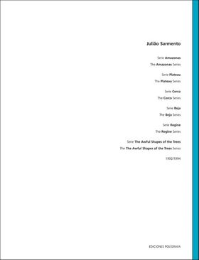 Julio Sarmento: Series Volume 3