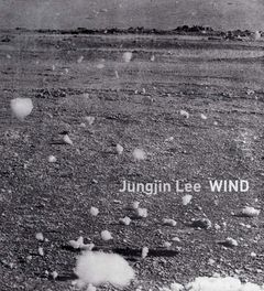 Jungjin Lee: Wind